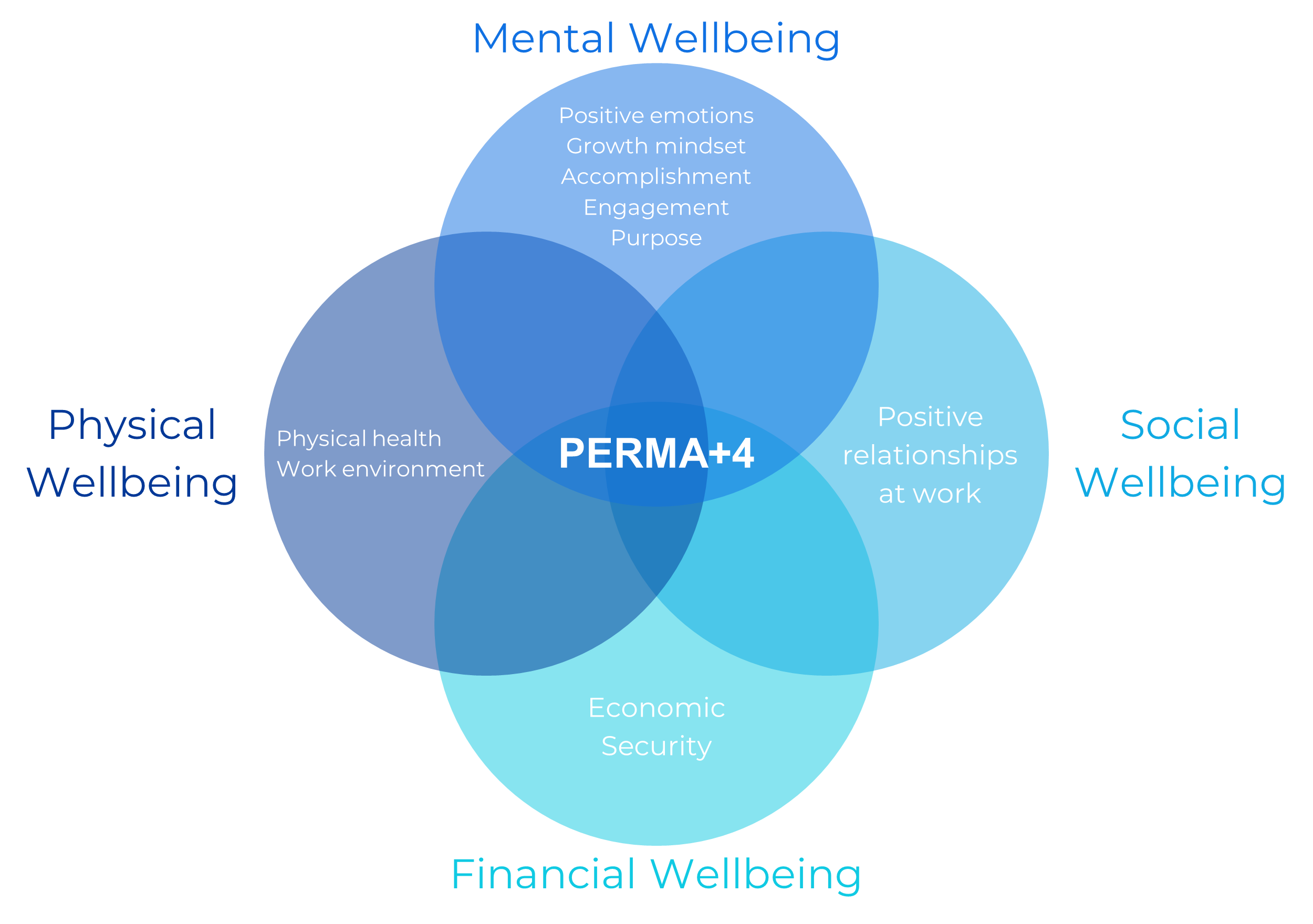 PERMA+4 PNG 1 (1)